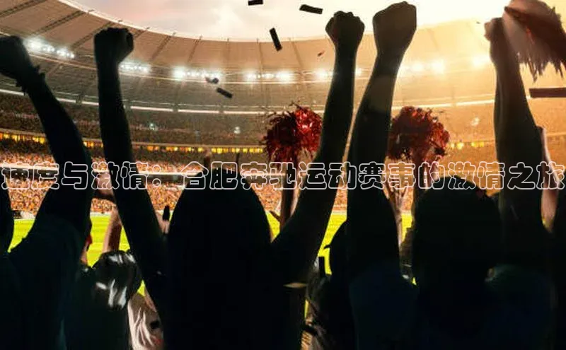 速度与激情：合肥奔驰运动赛事的激情之旅
