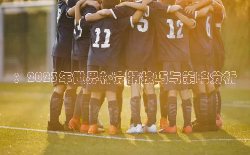 ：2023年世界杯竞猜技巧与策略分析
